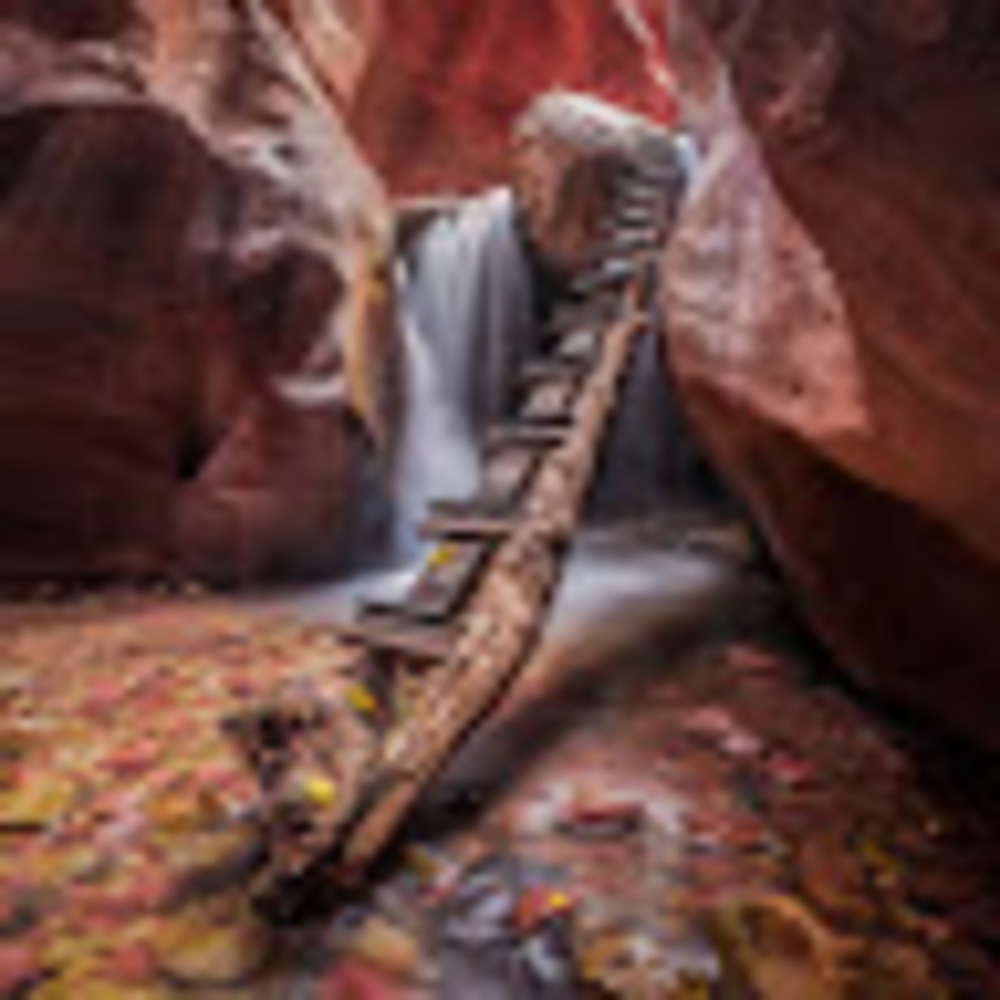 Meet your Posher, Kelsi